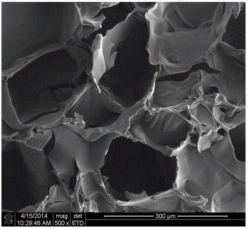 Multi-responsive pNIPAAm (poly(N-isopropylacrylamide))/(mPEG-g-CMCS) (methoxy polyethylene glycol-g-carboxymethyl chitosan) aquagel