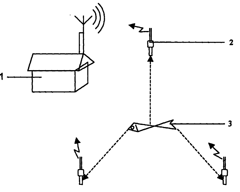 Digitized monitoring method for Chinese sturgeon natural reserve