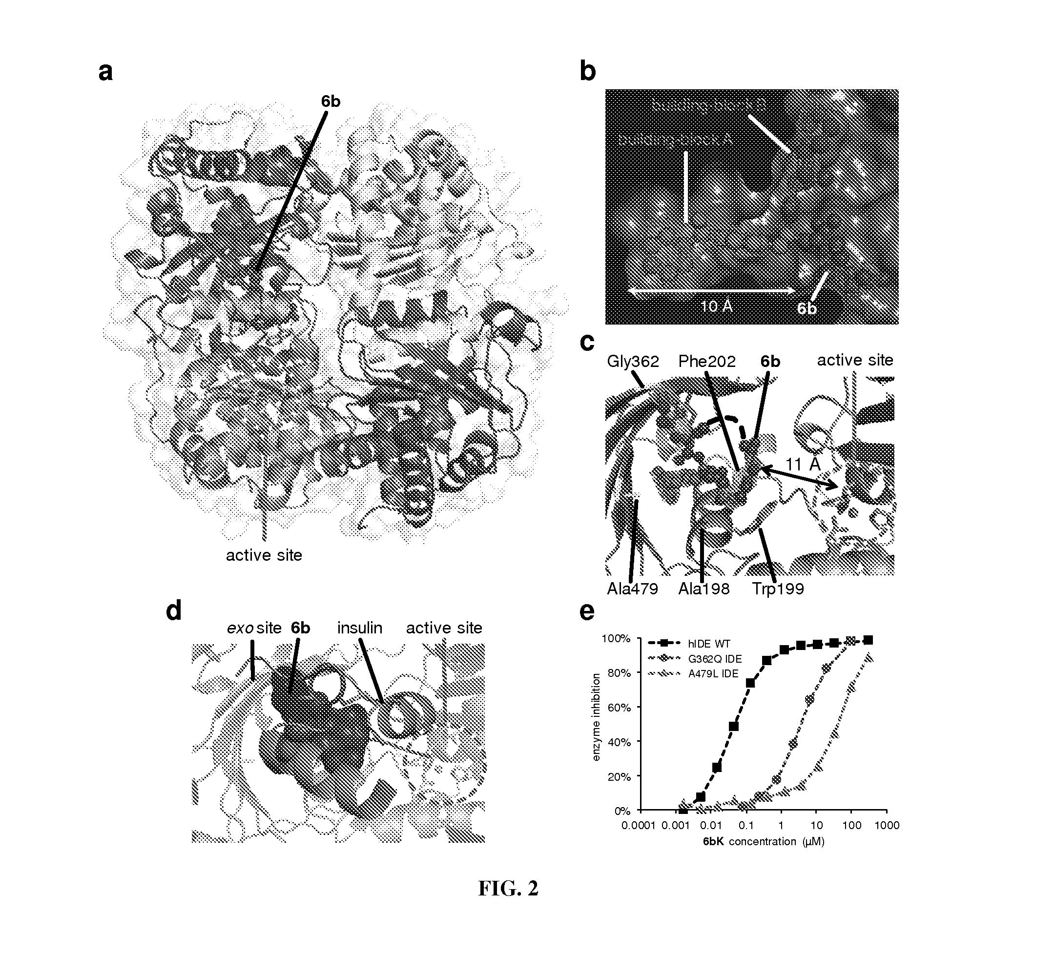 Assay for insulin-degrading enzyme (IDE) inhibitors