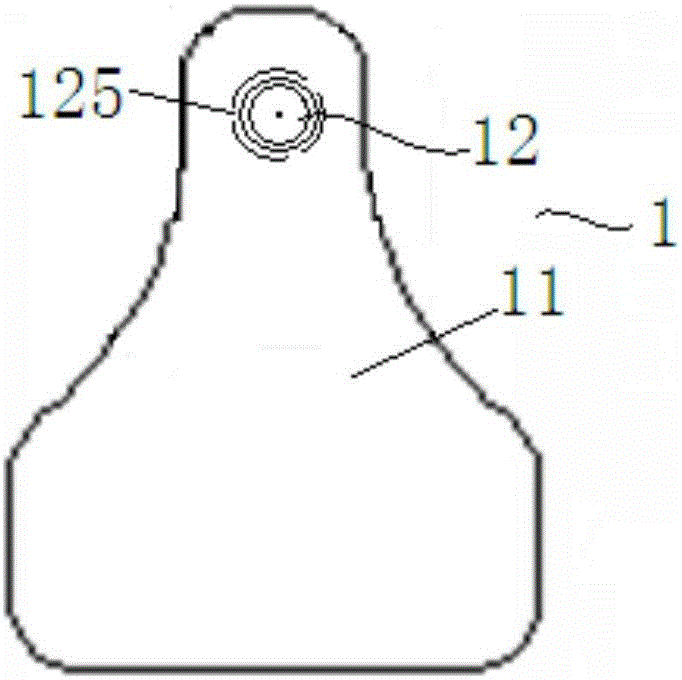 Animal ear tag for synchronously collecting DNA sample