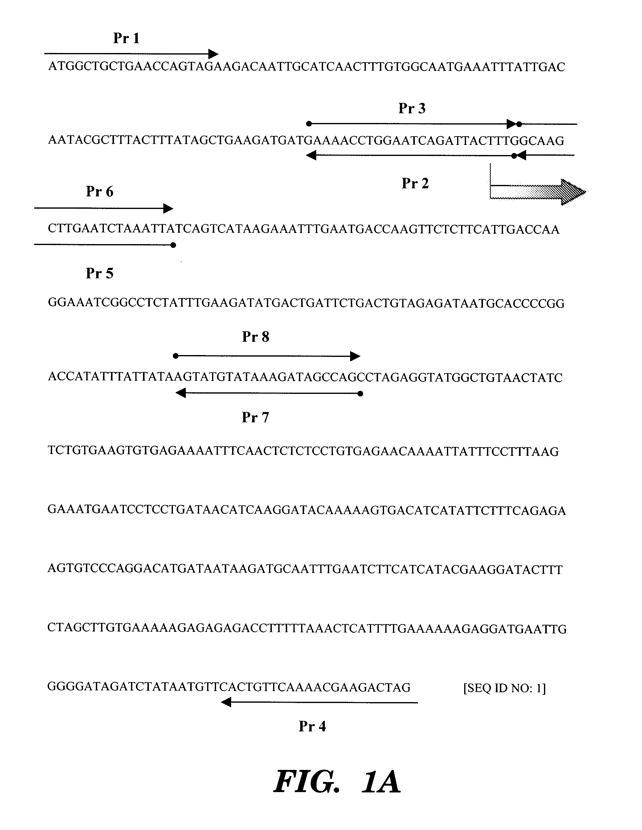 Interleukin-18 mutants, their production and use