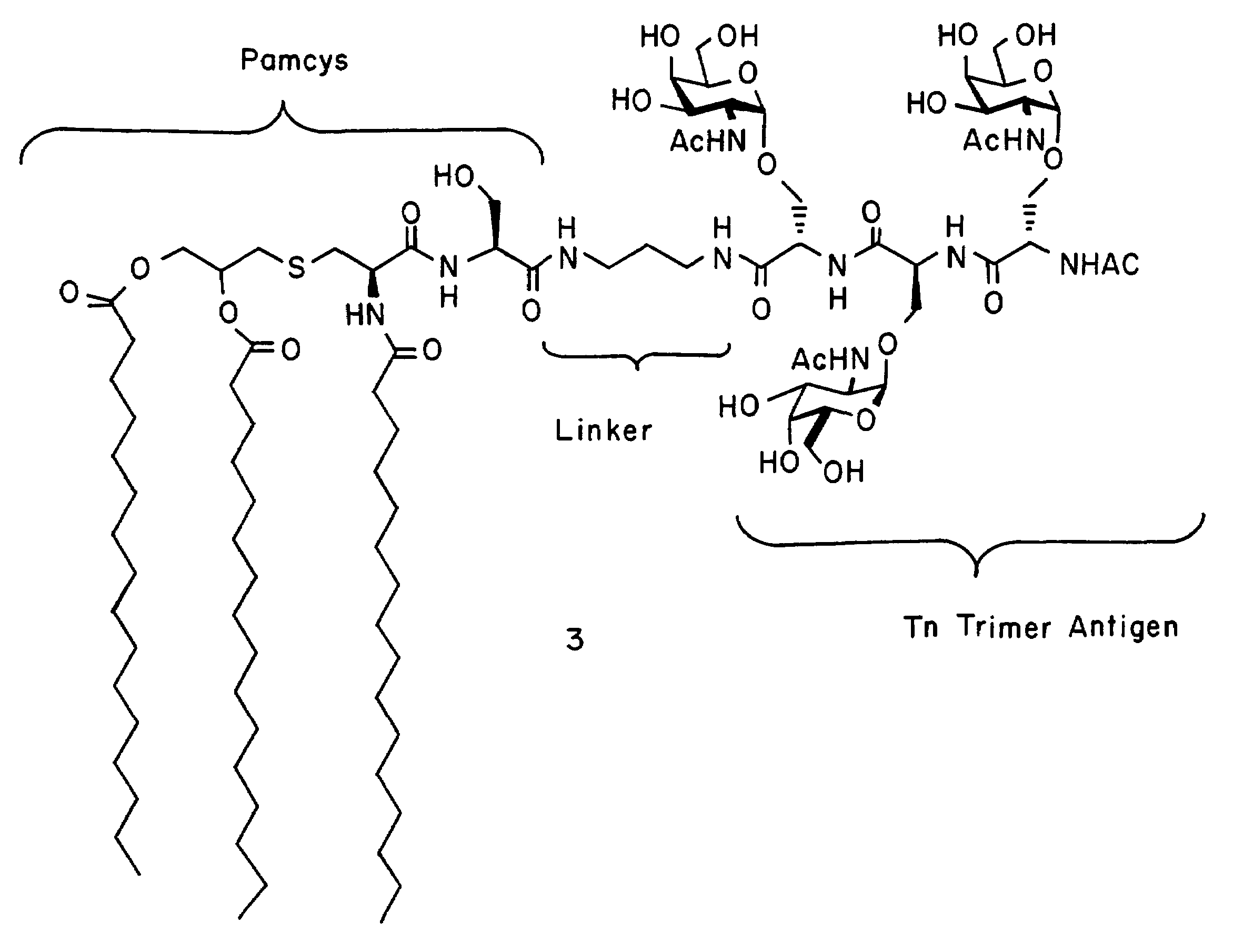 alpha-O-linked glycoconjugates, methods of preparation and uses thereof