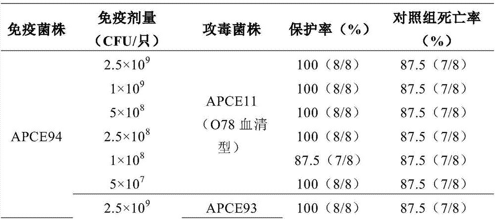 Avian pathogenic Escherichia coli inactivated vaccine and preparation method thereof