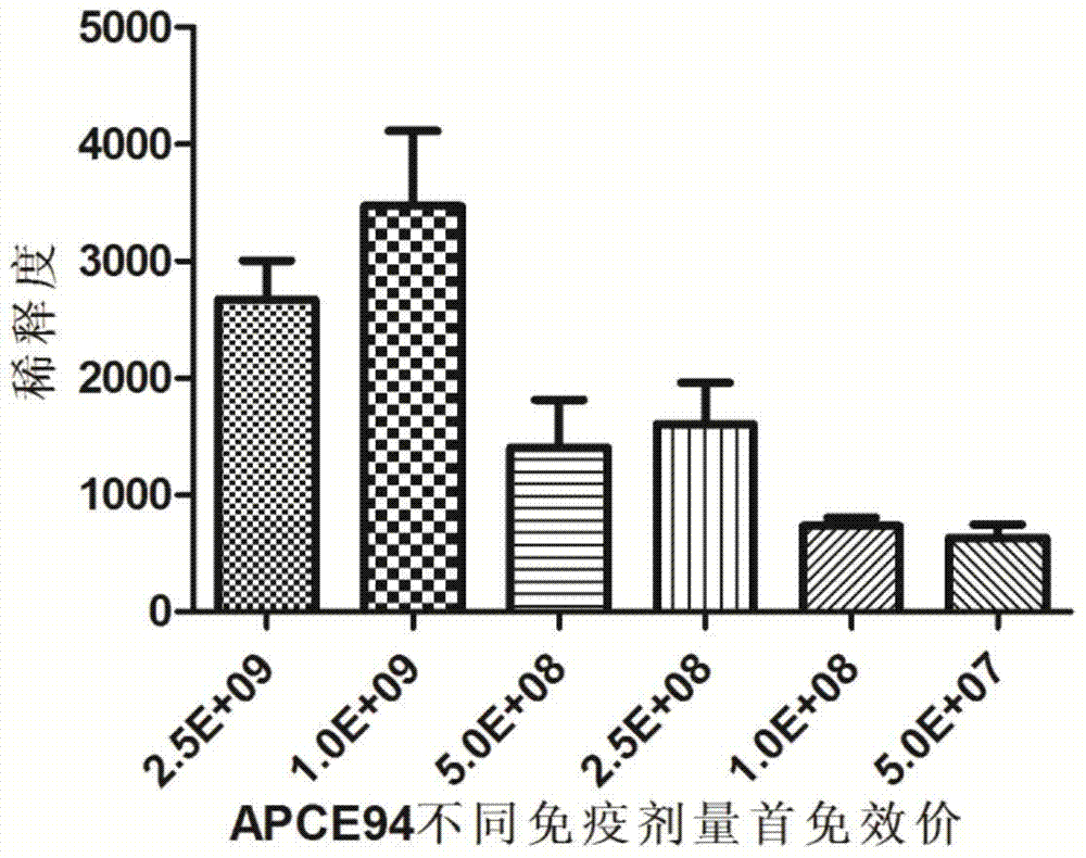 Avian pathogenic Escherichia coli inactivated vaccine and preparation method thereof