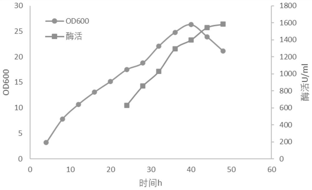 Method for producing psicose 3-epimerase through high-density fermentation