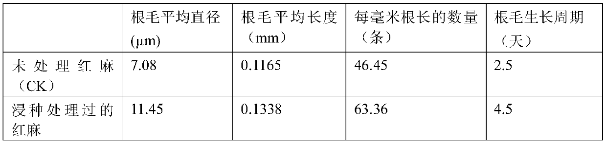 A method for enhancing the absorption of CD in soil by kenaf