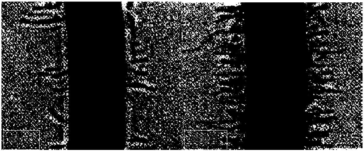 A method for enhancing the absorption of CD in soil by kenaf