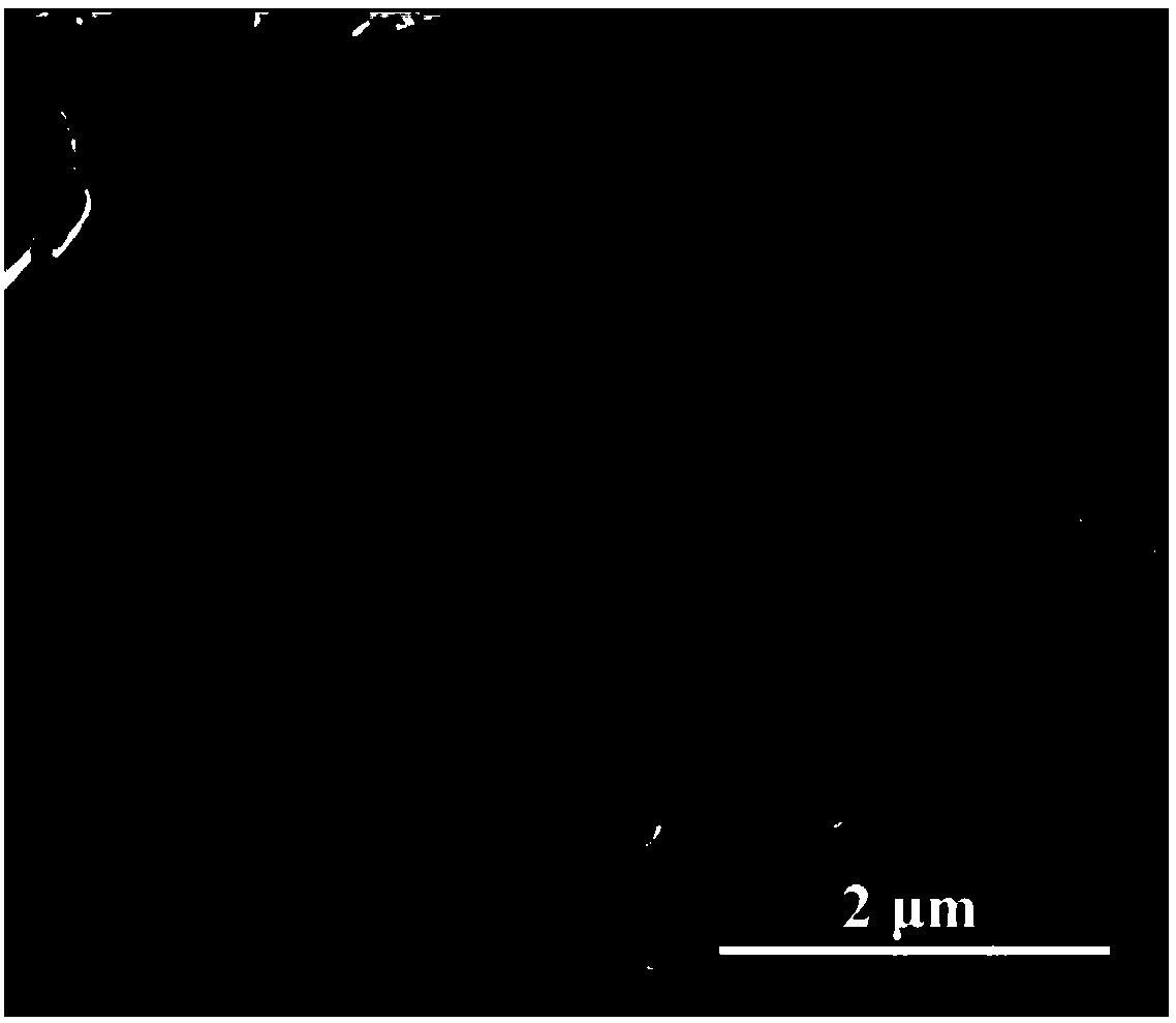 Method for preparing lithium ion carbon negative electrode material from mixed mushroom residue waste