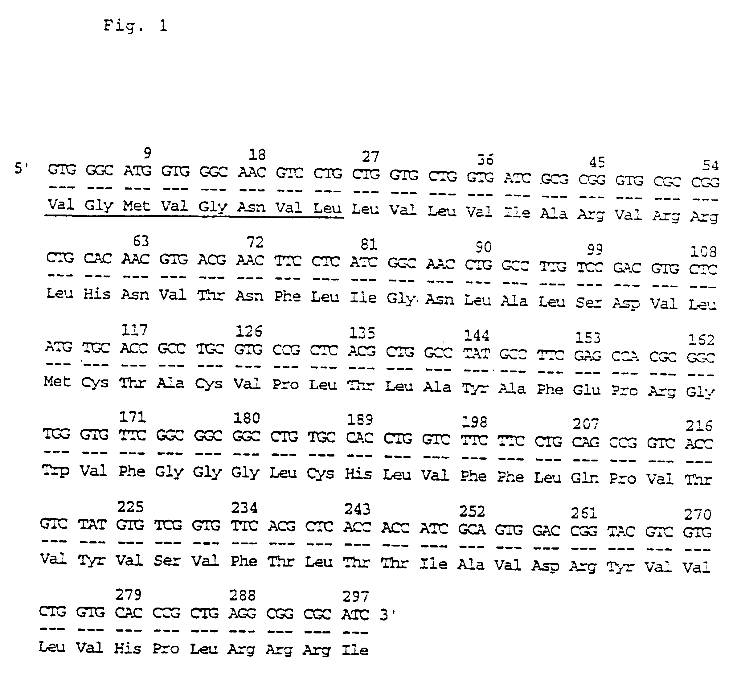 Polypeptides their production and use