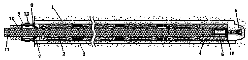 Anchor rod assembly for supporting coal mines