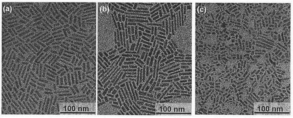 Method for preparing scandium fluoride nanocrystal and regulating crystalline phase at low temperature and normal pressure