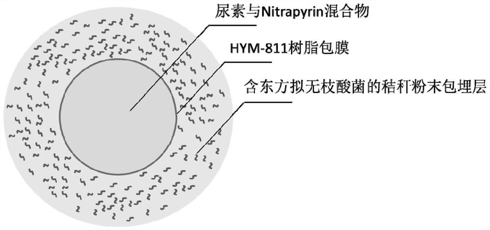 Chemical-biological joint control fertilizer capable of reducing cadmium accumulation of vegetables and increasing yield of vegetables as well as preparation and application of chemical-biological joint control fertilizer