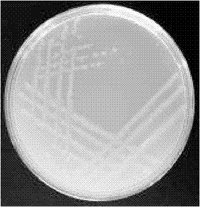 Microbial agent and preparation method and application thereof