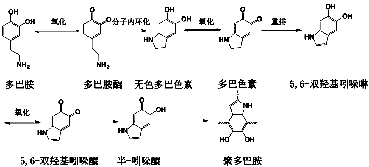 Preparation method of pattered metallic textile on the basis of pretreatment with dopamine