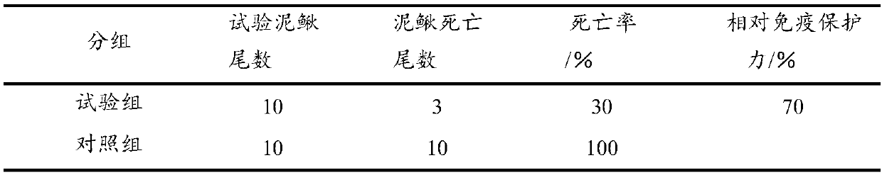 Preparation and use methods of loach aeromonas varonii vaccine