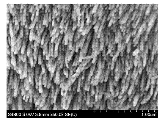 Method for preparing mordenite molecular sieve