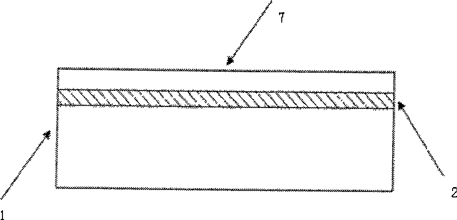 Raster and light valve array processed by electric microcomputer for laser filmsetting and its production