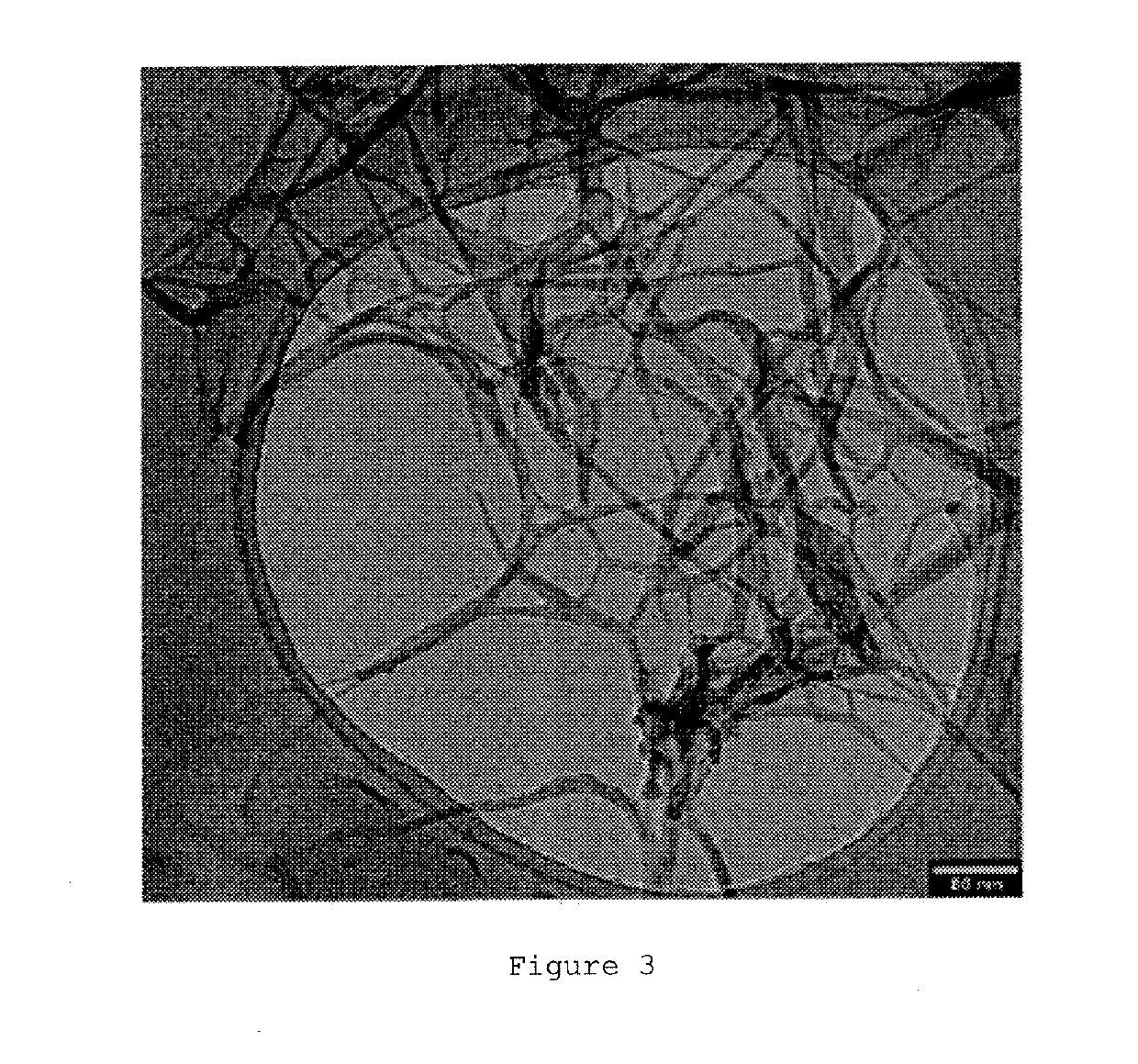 Metal-organic gels and metal-organic aerogels formed from nanofibres of coordination polymers