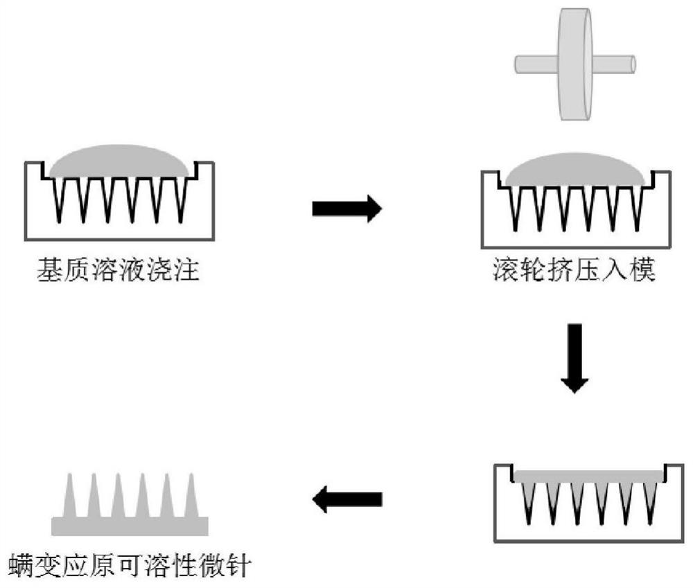 Moisture-proof mite allergen soluble microneedle