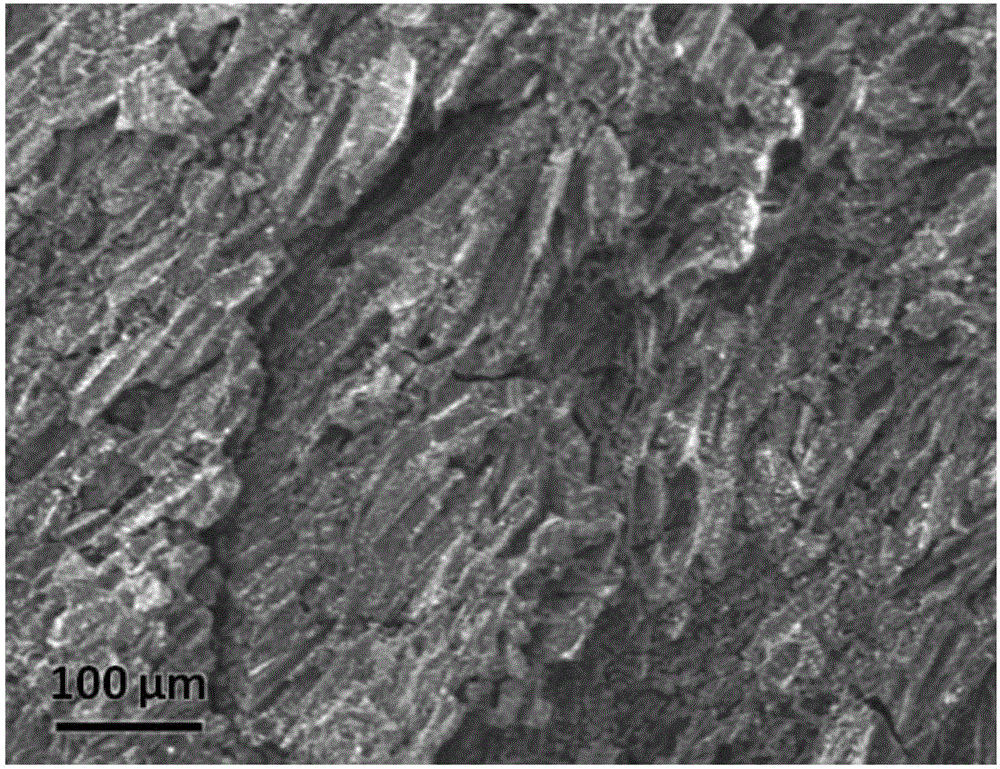 Preparation method of biomass charcoal material