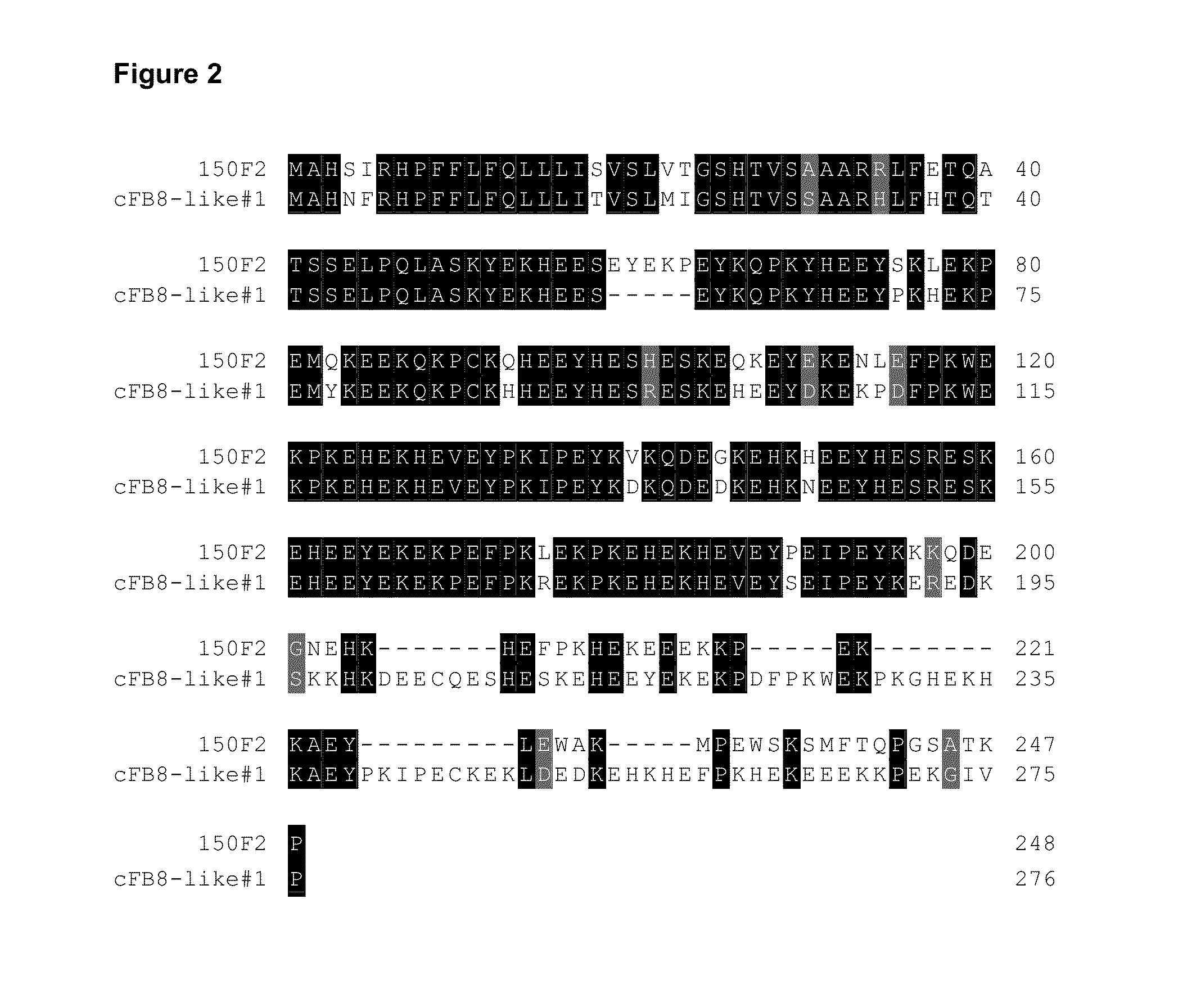 Novel fiber-preferential promoter in cotton