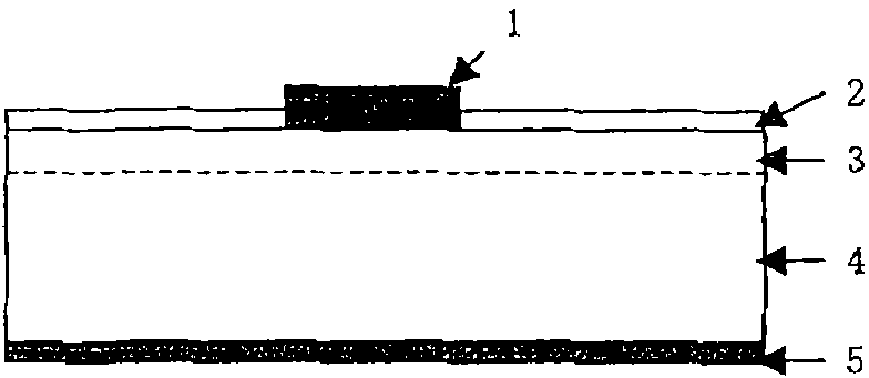 Conductive paste for solar cell electrode