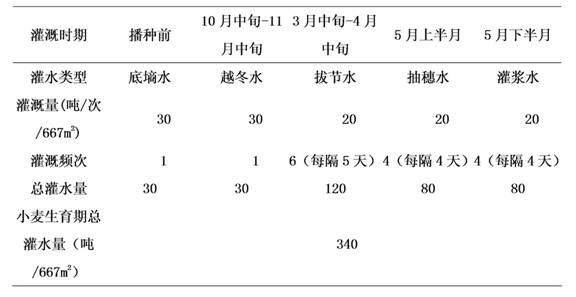 Cultivation waste water trickle irrigation method for wheat-corn crop rotation system in arid-semiarid regions