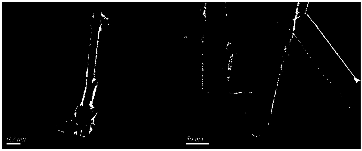 Preparation method and application of Pd/C3N4@biomass carbon fiber composite film