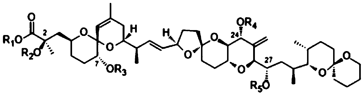 Okadaic acid derivative and preparation method thereof