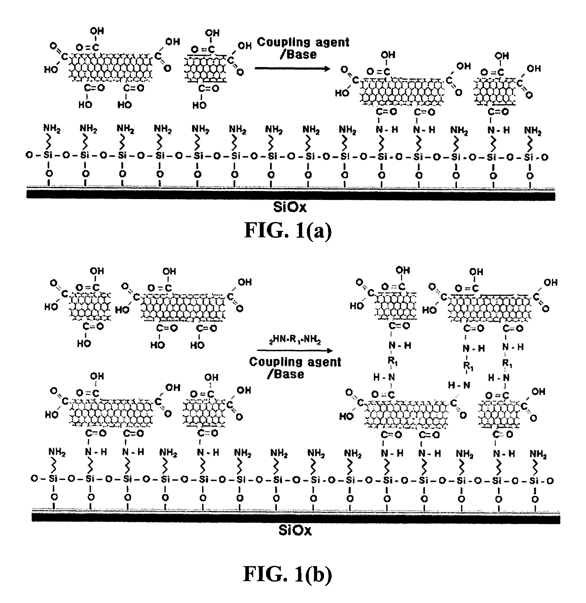 Method for fabricating a biochip using the high density carbon nanotube film or pattern