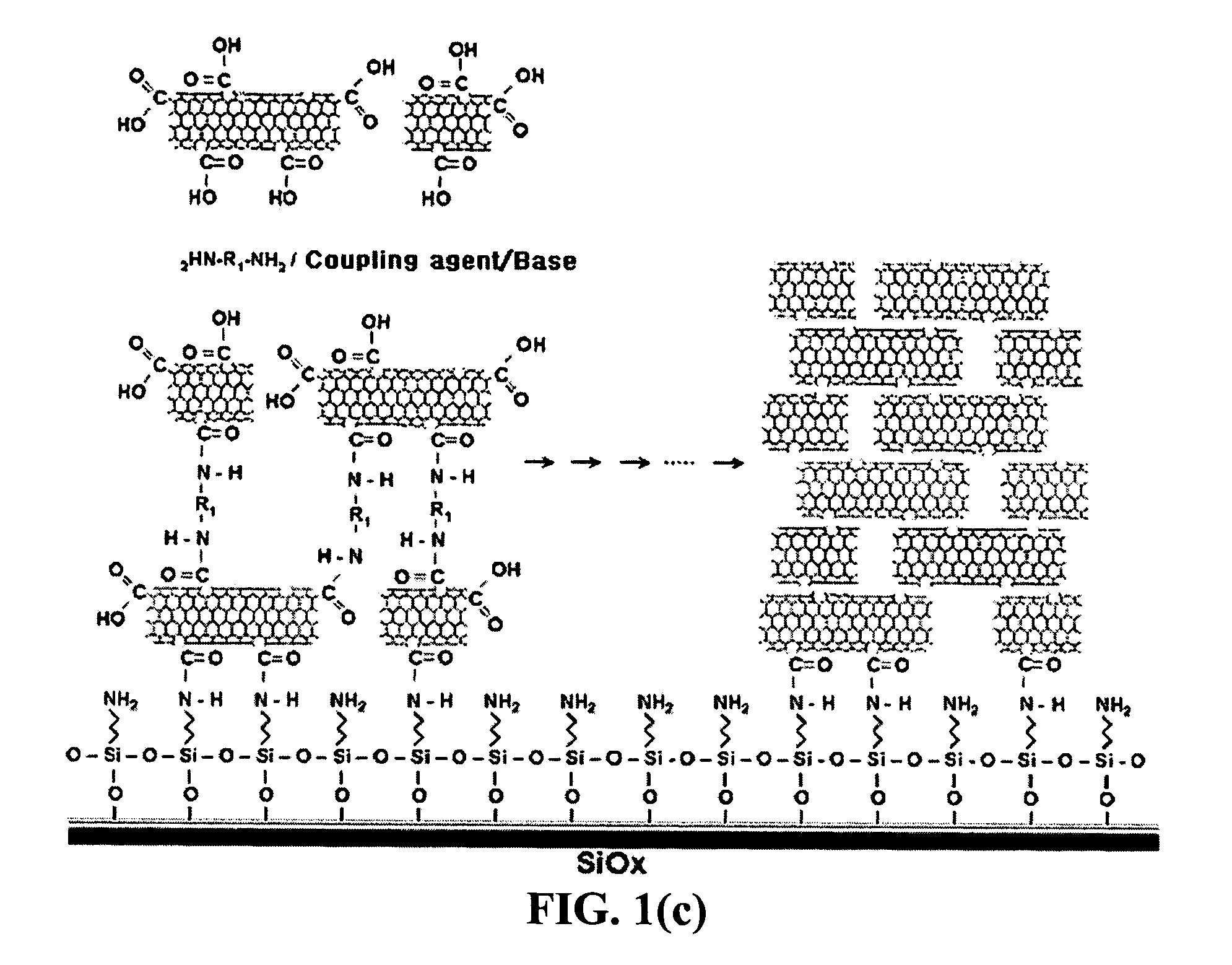 Method for fabricating a biochip using the high density carbon nanotube film or pattern