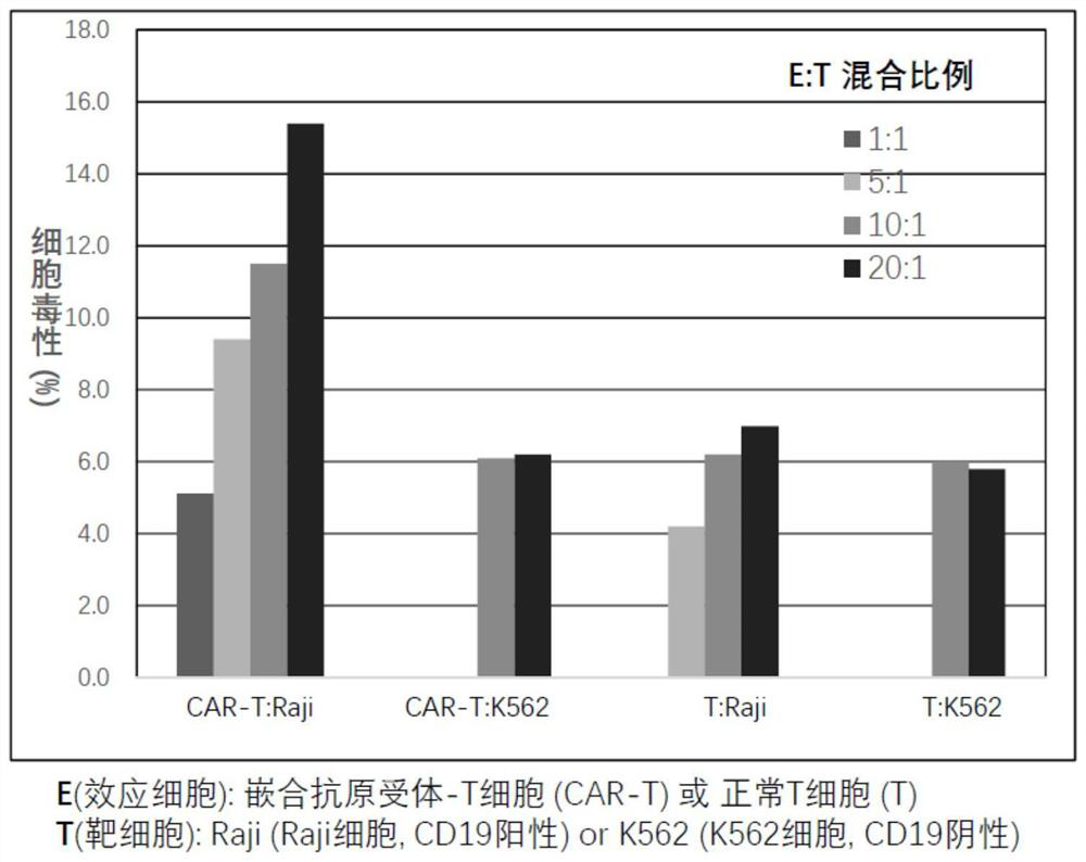 A chimeric antigen receptor T cell preparation