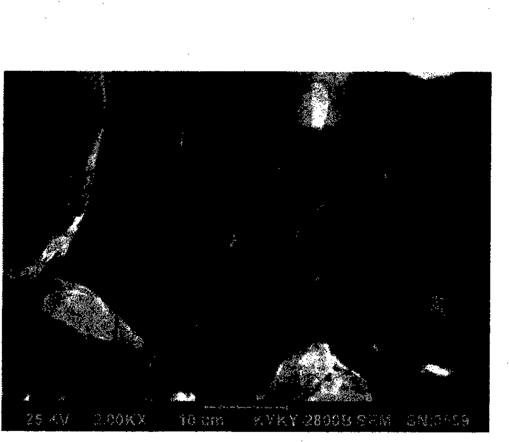 Lithium ion battery cathode material and preparation method thereof