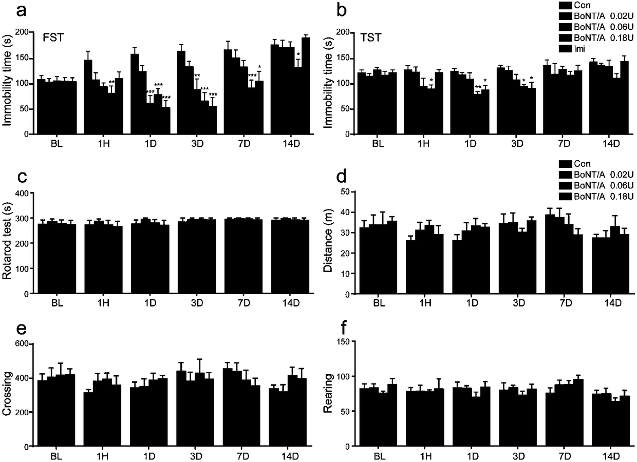 Application of botulinum toxin A to resistance of depression