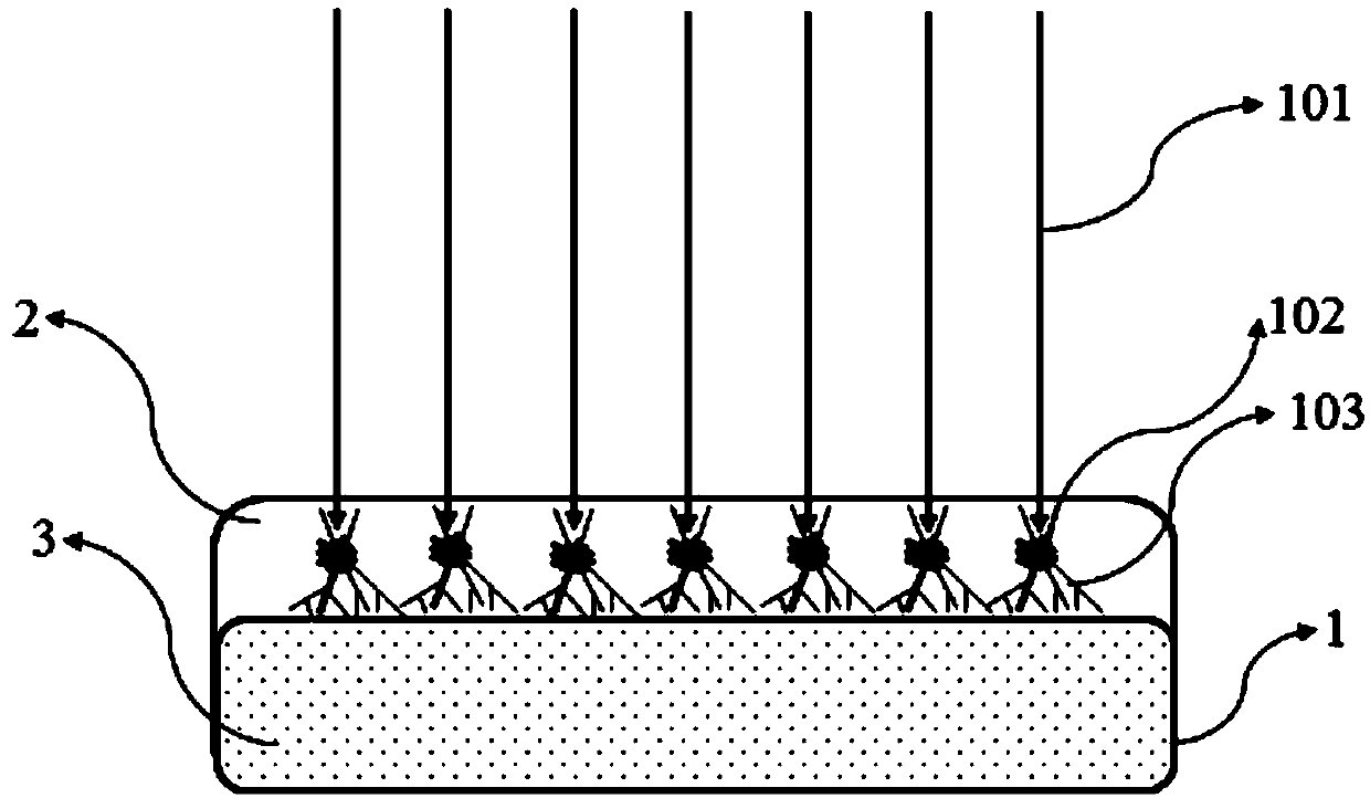 Laser paint removing method for polyimide coating enameled wire