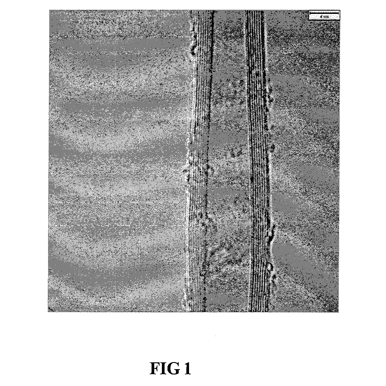 Catalyst for preparing carbon nanotube comprising multi-component support materials containing amorphous silicon particles and the bulk scale preparation of carbon nanotube using the same