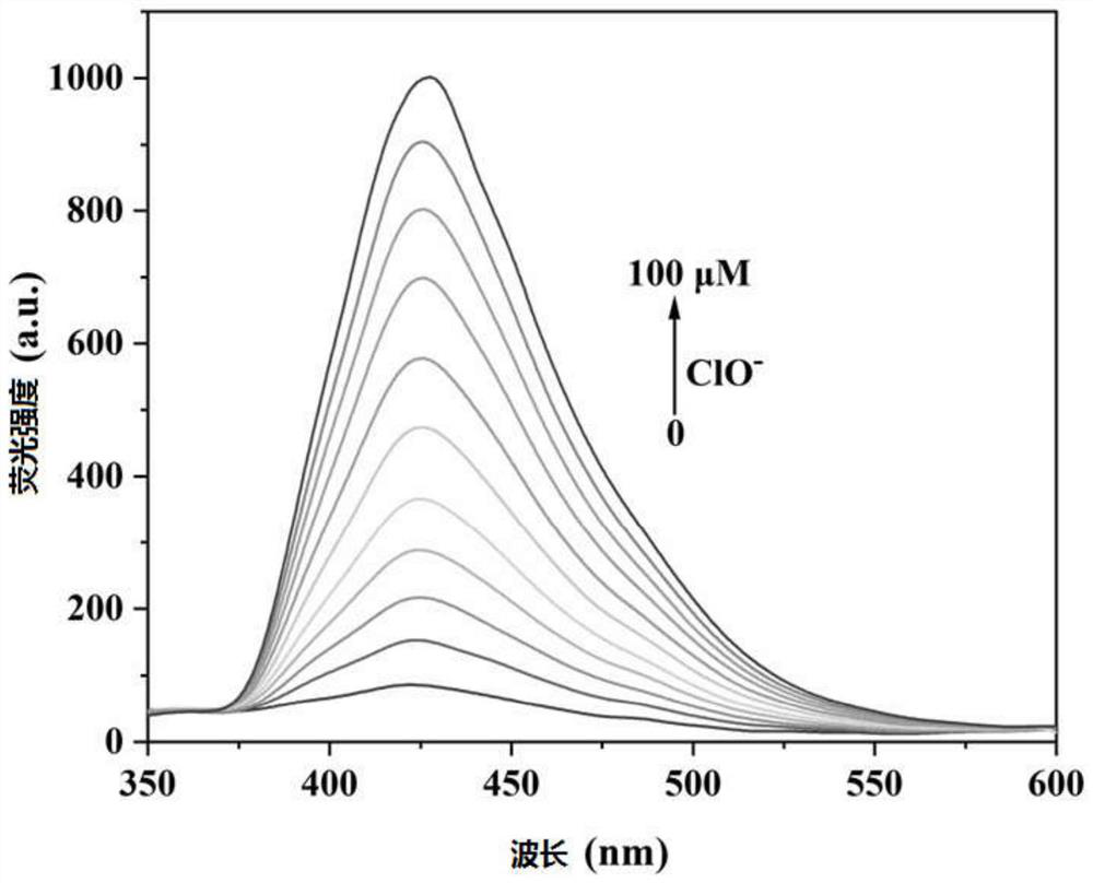 Tanshinone benzimidazole fluorescent probe for detecting ClO &lt;-&gt; ions as well as preparation method and application of tanshinone benzimidazole fluorescent probe