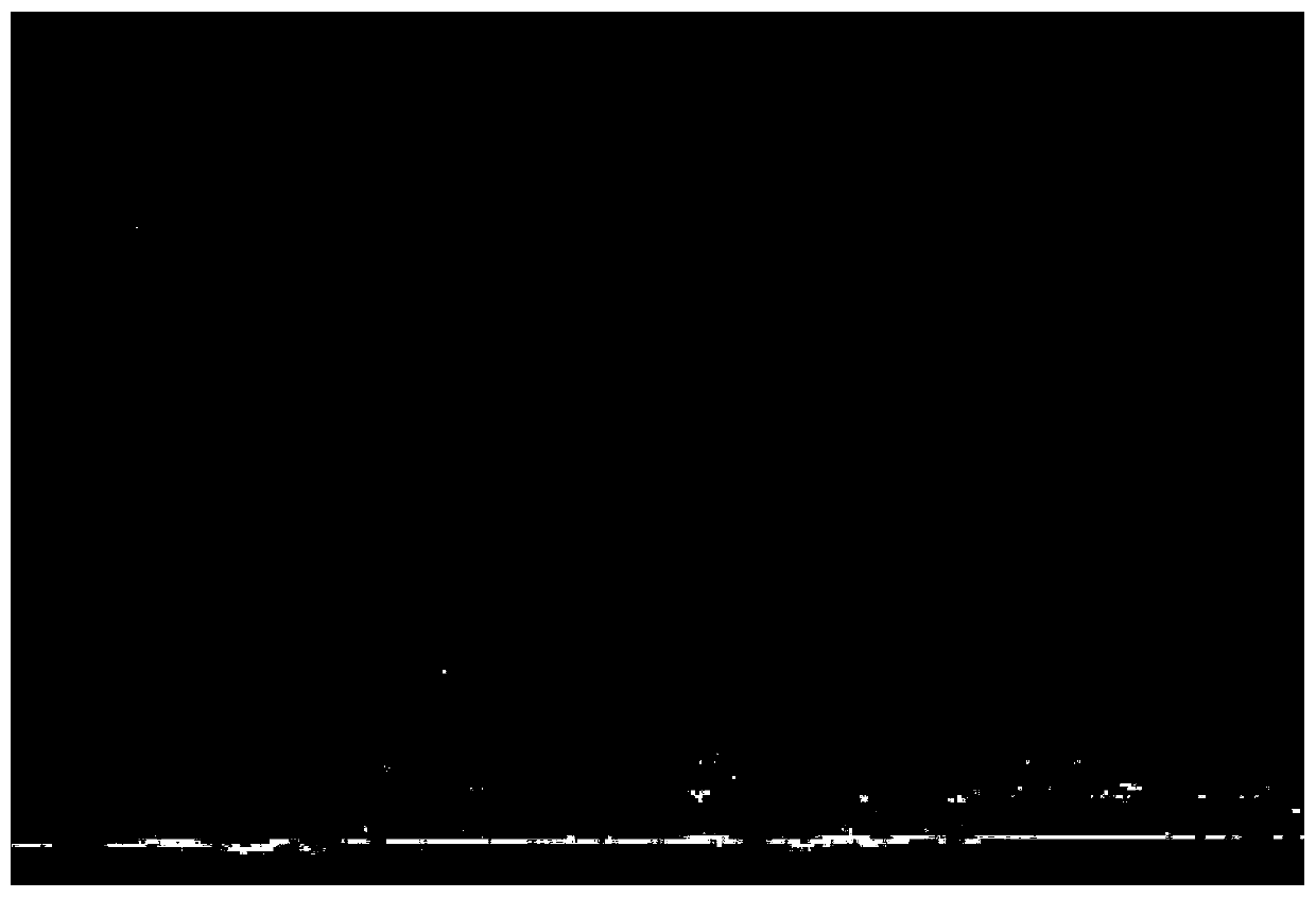 Method for growth of one-dimensional zinc oxide nanowires on surfaces of carbon fibers