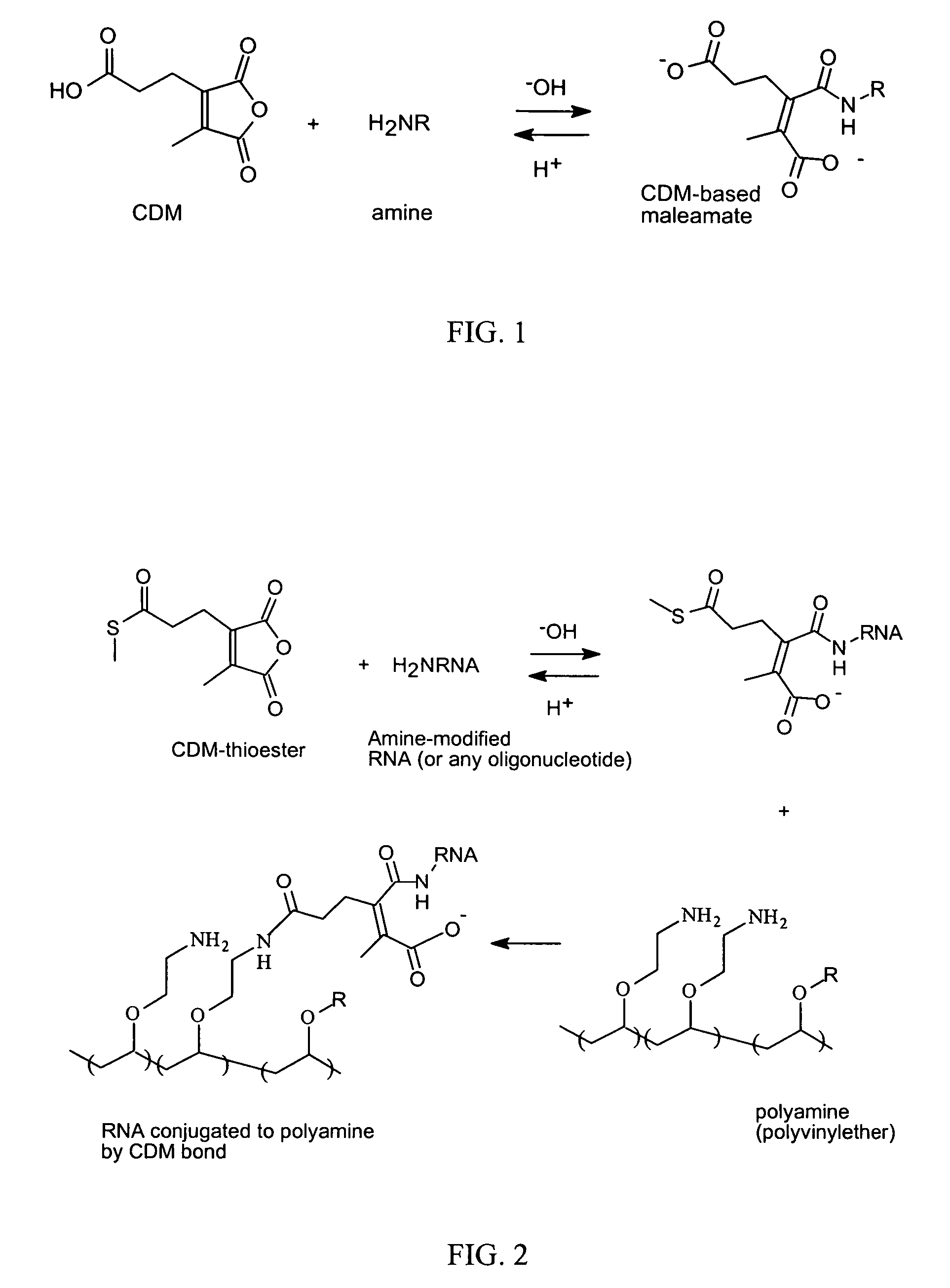 Reversible attachment of a membrane active polymer to a polynucleotide