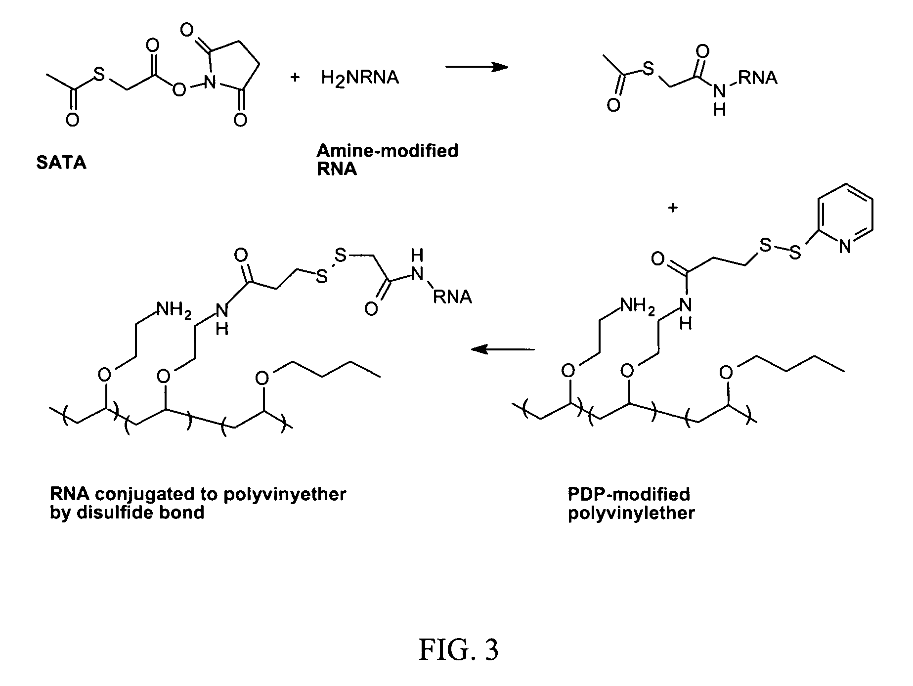 Reversible attachment of a membrane active polymer to a polynucleotide