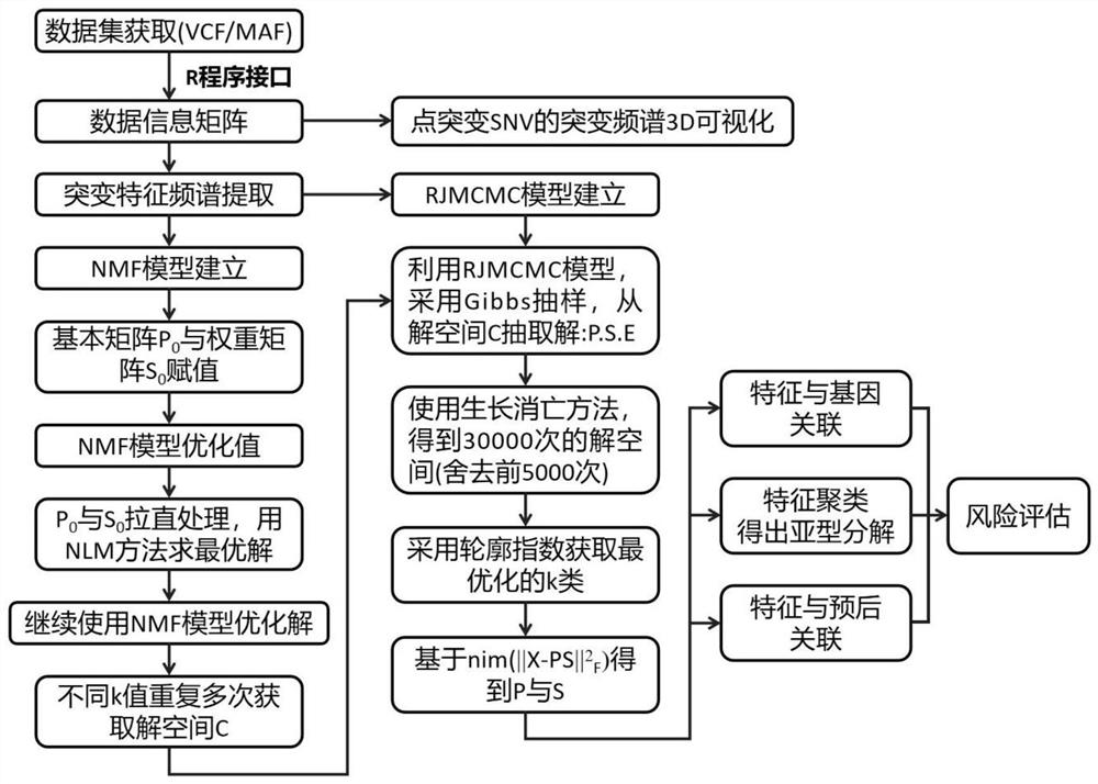 Tumor gene point mutation feature extraction method combining contour coefficient and RJMCMC algorithm