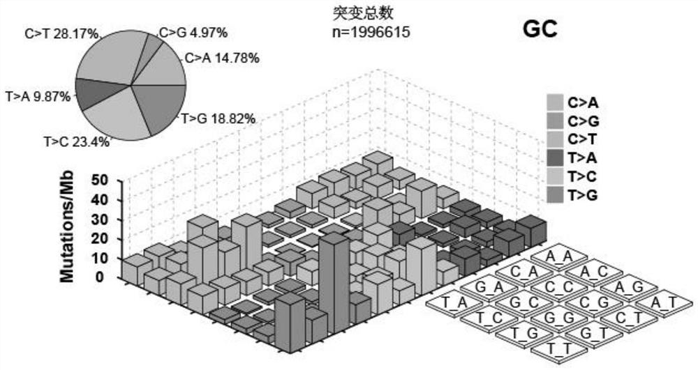 Tumor gene point mutation feature extraction method combining contour coefficient and RJMCMC algorithm