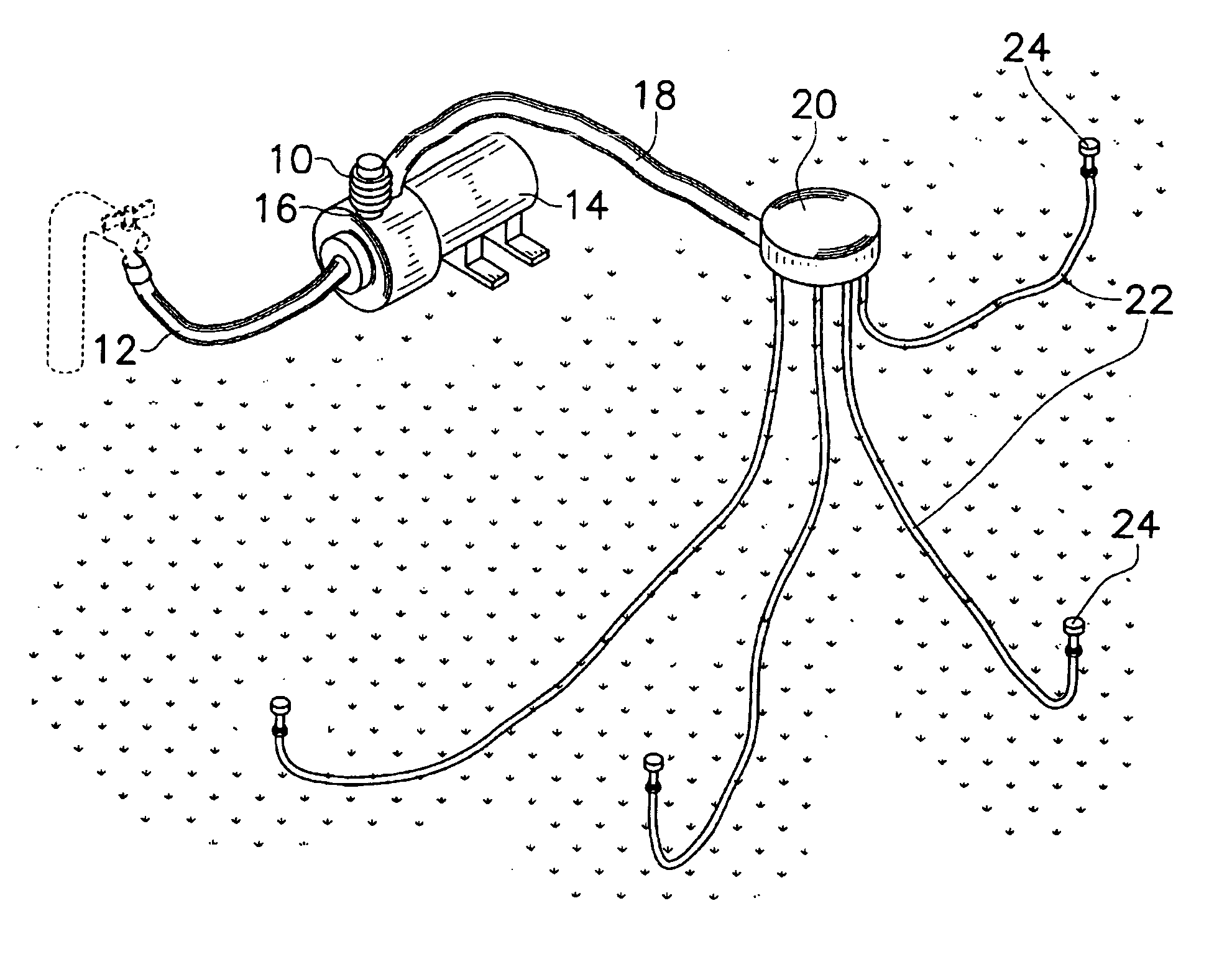 Fertilizer and insecticide capsule