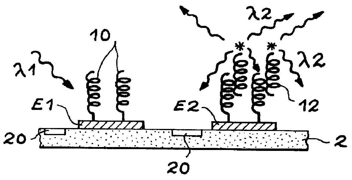 Electrode support comprising at least one electrode covered by a deposit and system for reading this support