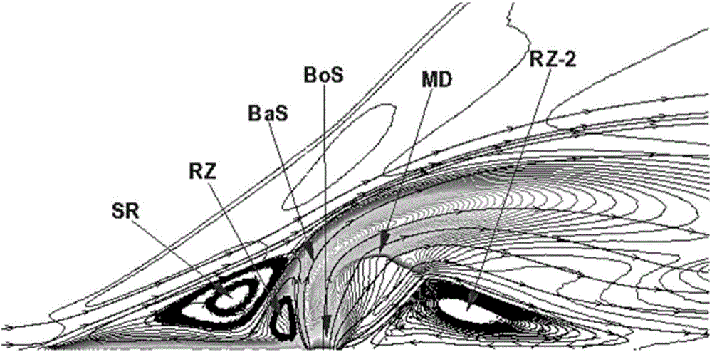 APDSMC flow field detection method specific to scale-span flow