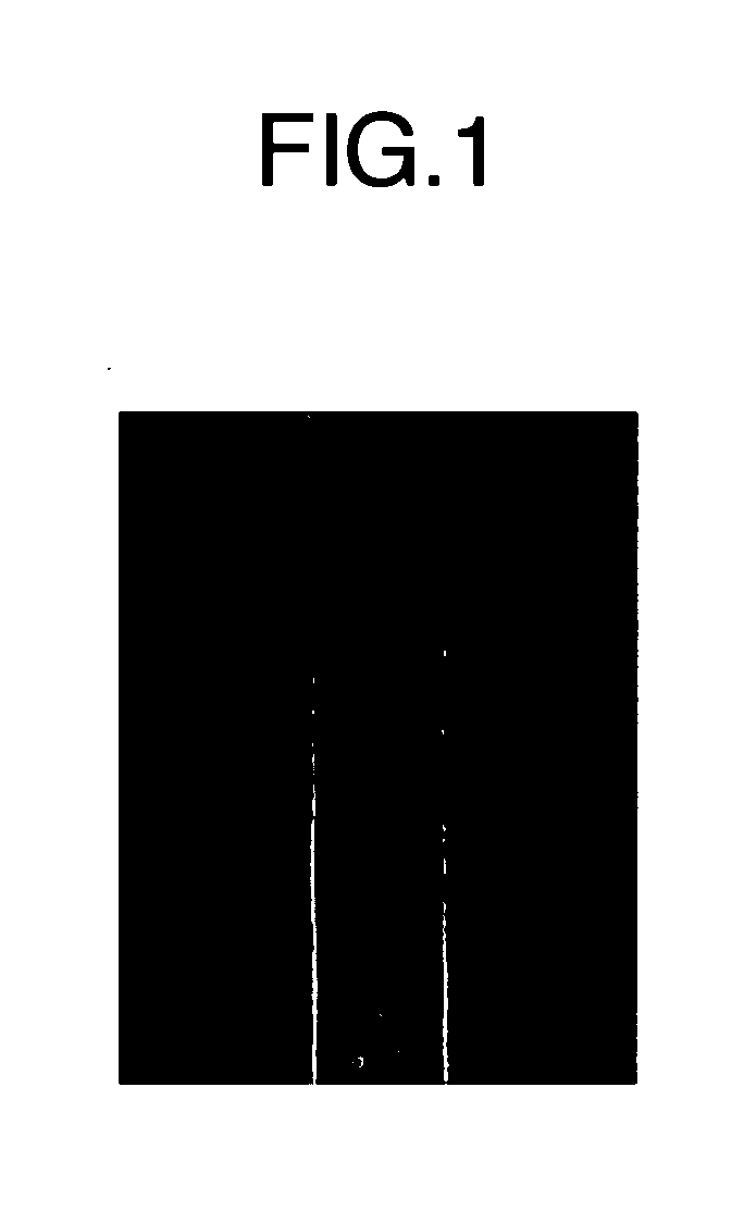 Liquid crystal sealant, liquid crystal display device using the same and method for producing the device