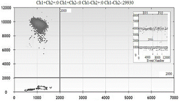 HPV (human papilloma virus) 16/18 detection kit based on digital PCR (polymerase chain reaction) accurate quantitative typing and detection method thereof