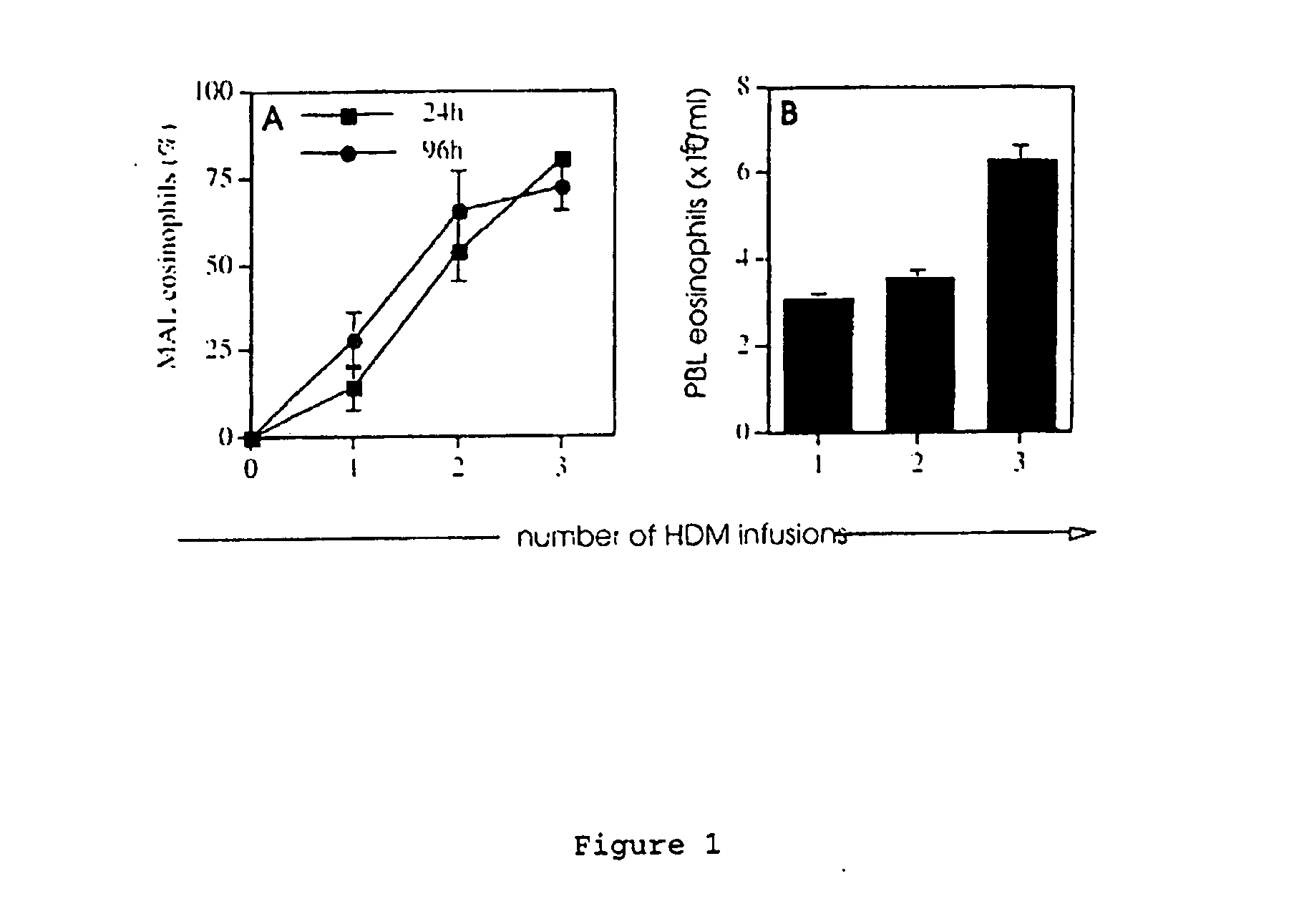 Animal model for allergy