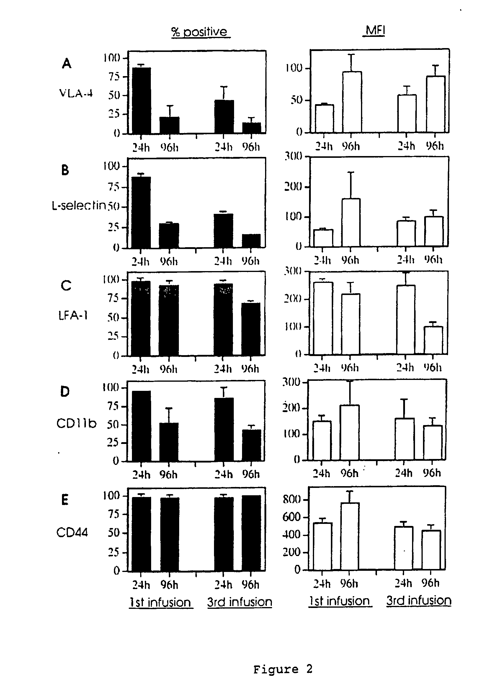 Animal model for allergy