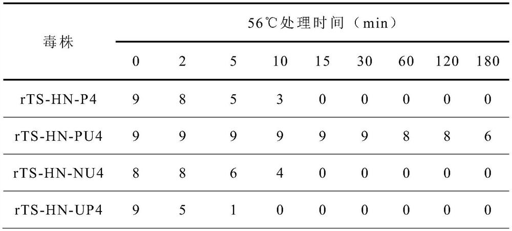 A mutant strain of heat-resistant Newcastle disease virus and its preparation method and application